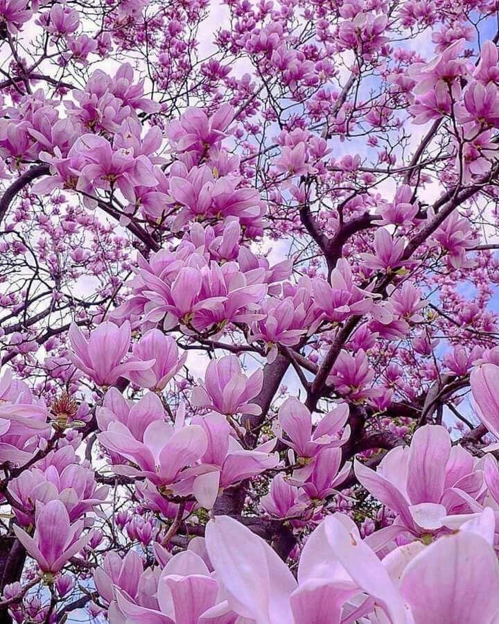 Cool Planet Raft workshop space where corporate flower arrangements are designed and prepared for business delivery